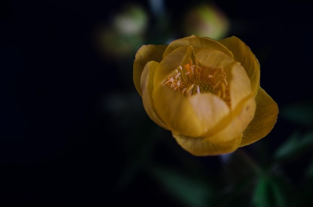 Free Nature Field photo and picture