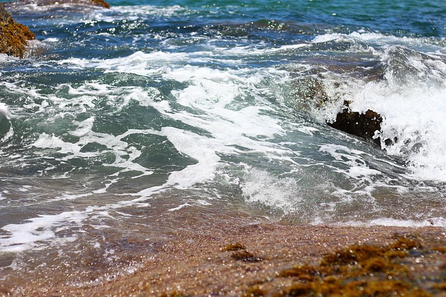 Free Beach Sea photo and picture