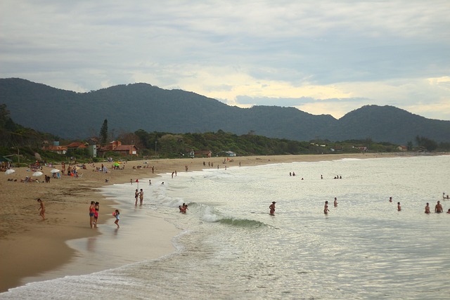 Free Beach Sea photo and picture