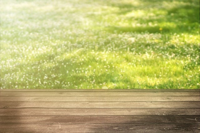 Free background meadow wood illustration