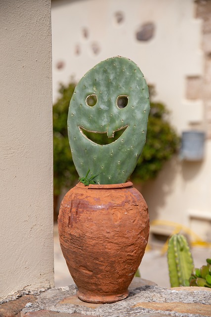 Free Cactus Smiley photo and picture