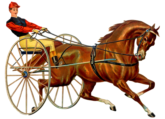 600+ Free Horse Racing &amp; Horse Images