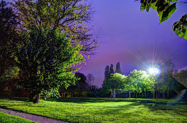 Free Twilight Sky photo and picture