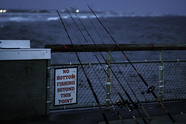 Pesca, Oceano, Mar, Pez, Naturaleza