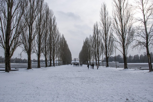 Free Restroom Concentration Camp photo and picture