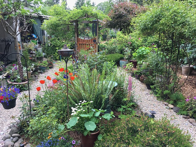 Free Garden Summer photo and picture