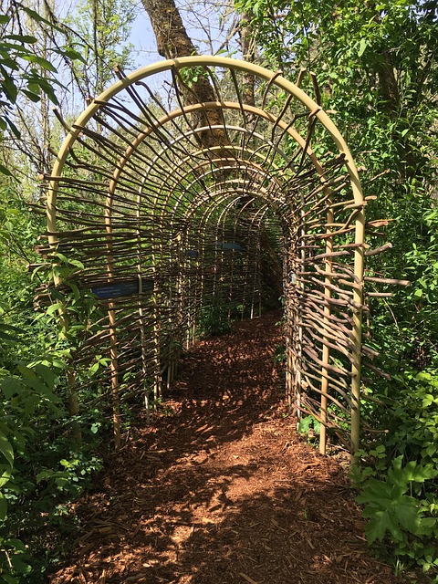 Free Willow Wicker photo and picture