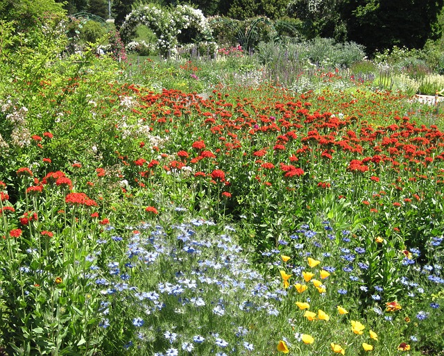 Free Wildflowers Garden photo and picture