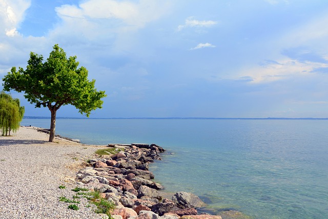 Free It Costs Shore photo and picture