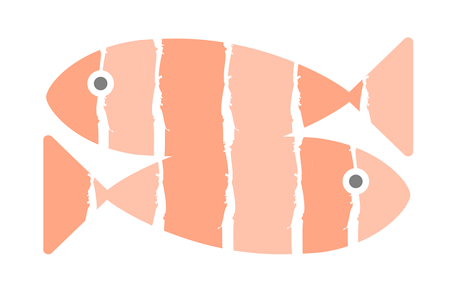 Lachs, Sushi, Fische, Frisch, Restaurant
