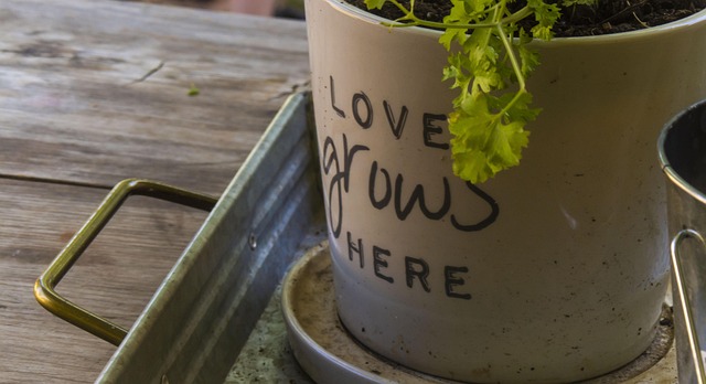 Free Plant Garden photo and picture