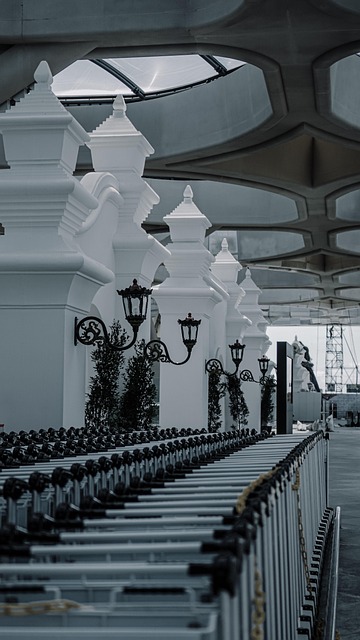Free Airport Trolly photo and picture