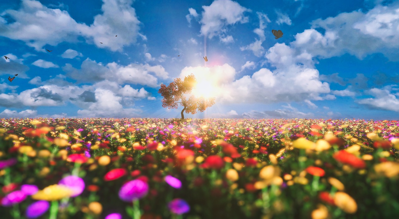 Landscape - free online jigsaw puzzle photo