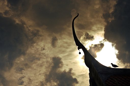 Measure, Sky, Cloud, Bird, Thailand