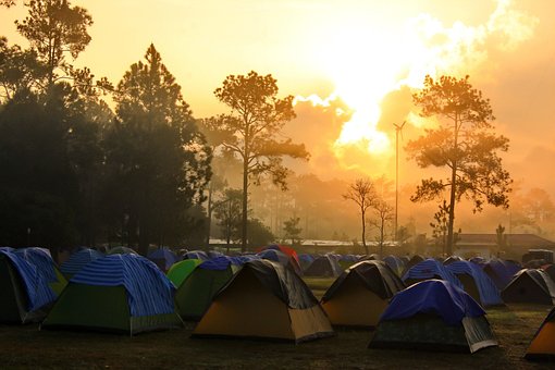 Camp, The Forest, Tent, Nature