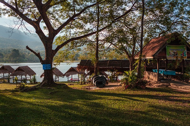 Free Asia Thailand photo and picture