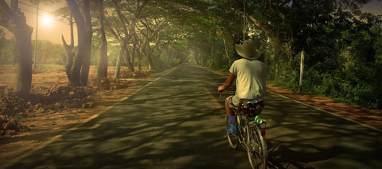 Ride A Bicycle, Road, Shady, Nature