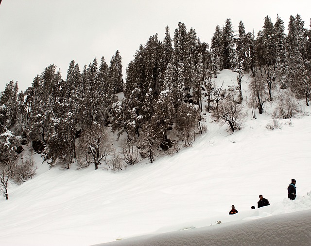 Free Mountain Snow photo and picture