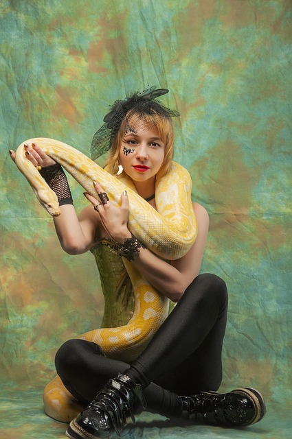 Free Python The Trainer photo and picture