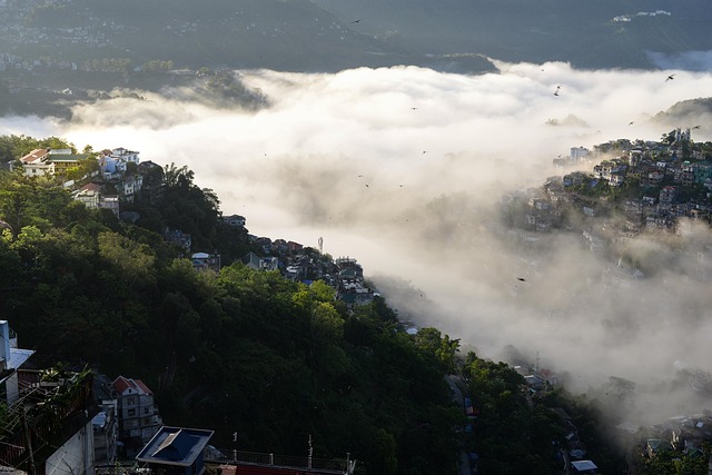 Landschaft, Stadt, Morgen, Stadtbild