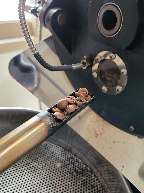 Free Roasting Beans photo and picture