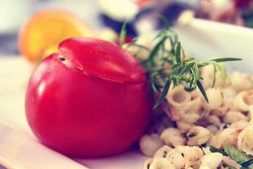 Free Diet The Diet Of The Egg photo and picture