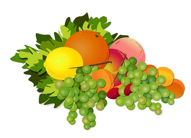 Free fruit fruits food illustration