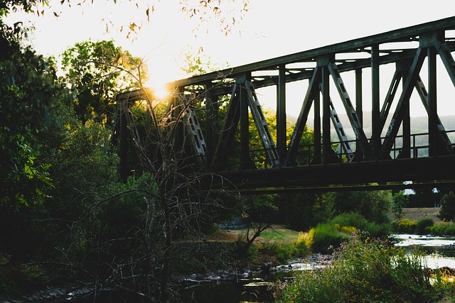 Free Bridge Nature photo and picture