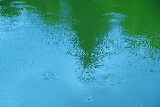 Free Ripples Pond photo and picture