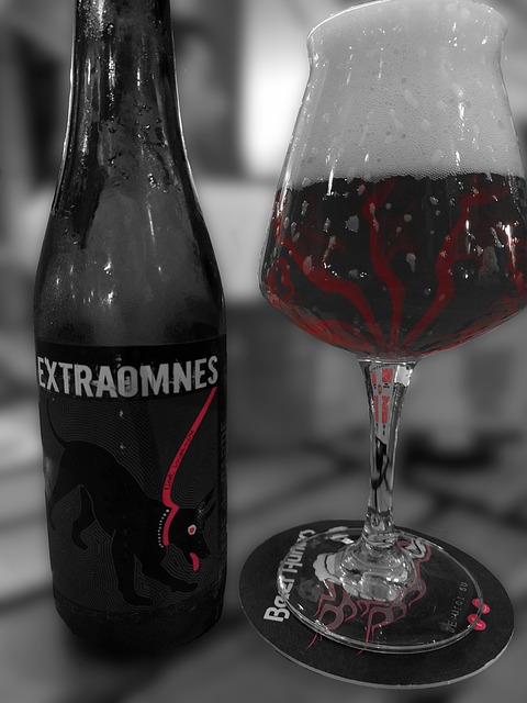 Free Beer Glass photo and picture