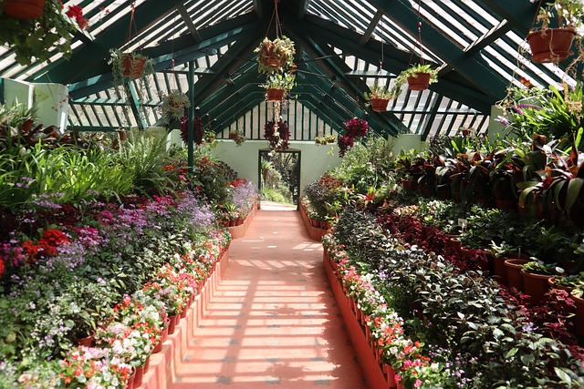 Free Glass House Ooty Botanical Garden photo and picture