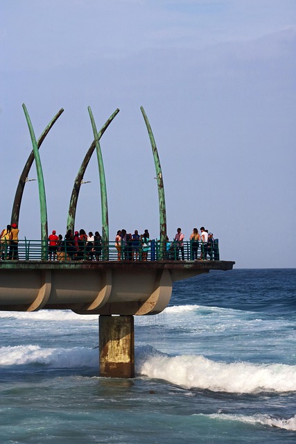 Free Pier Whalebone Pier photo and picture