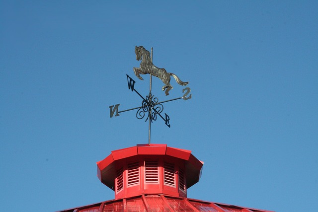 Wetterfahne, Pferd, Dach, Himmel, Turm