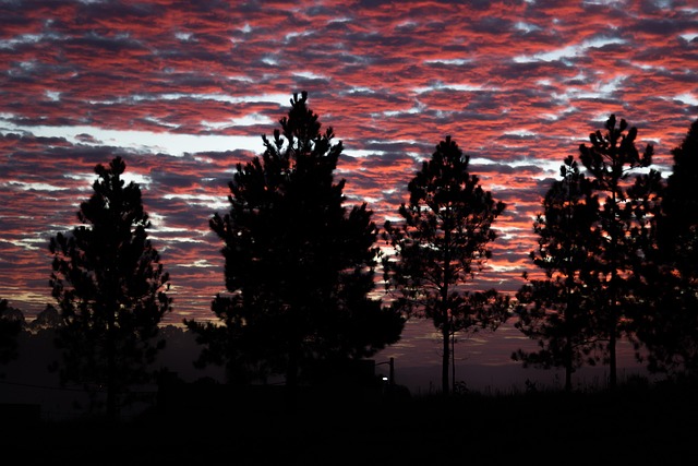 Nascer Do Sol, Sol, Outono, Nuvens