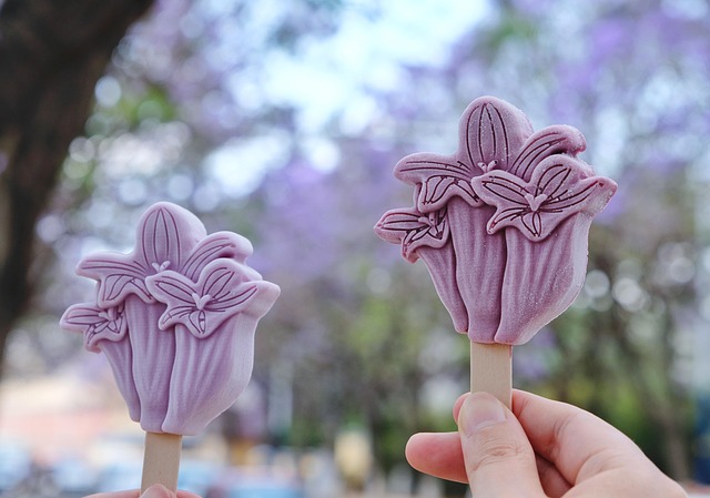 Free Flower Purple photo and picture