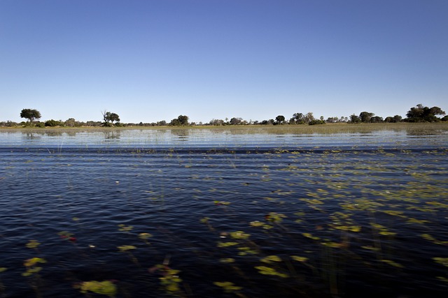 Delta Do Okavango, Chobe, África, Safári