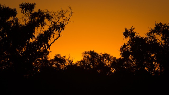 Pôr Do Sol, África, Botswana, Safári