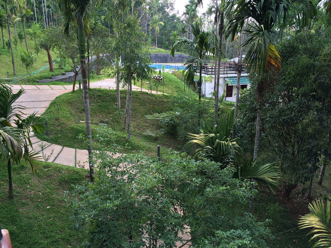 Landscape Kerala Nature - Free photo on Pixabay - Pixabay