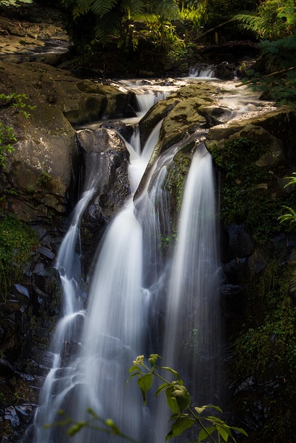 Waterval, Mooie Bloemen, Steen, Mos