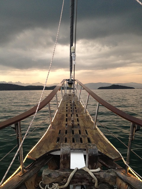 Free Sailing Bow photo and picture