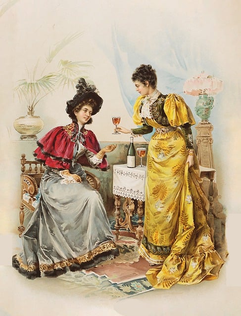 Free women drinking wine illustration