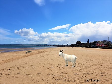 Free Edinburgh Portobello photo and picture