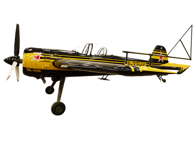 Free plane airplane aircraft illustration