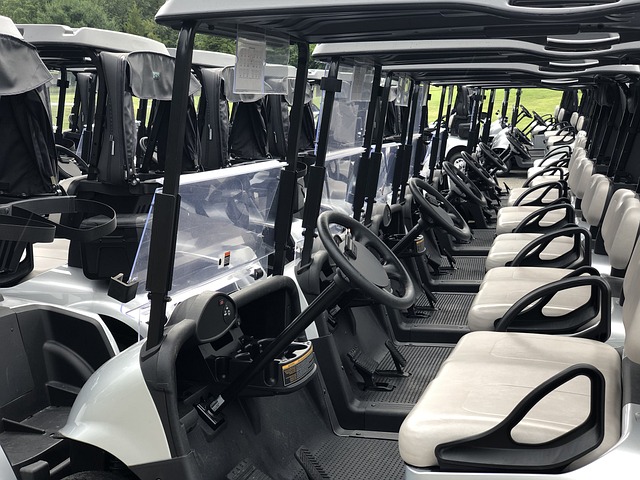Golf Cart, Elektrisch, Golf, Golfen