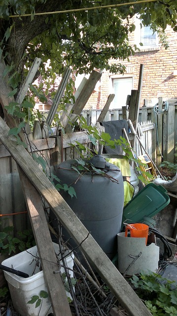 Free Backyard Wood photo and picture