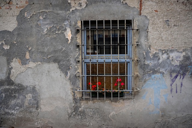 Free The Wall Of The Building Window photo and picture