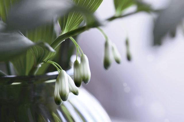 Free Nature Bouquet photo and picture