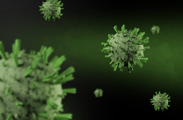 Free coronavirus cell coronavirus cell illustration