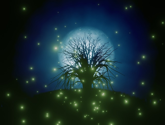 Árvore À Noite Vaga-Lumes - Foto gratuita no Pixabay - Pixabay