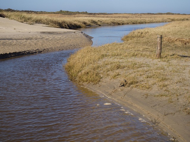 Free Langeoog 2020 photo and picture